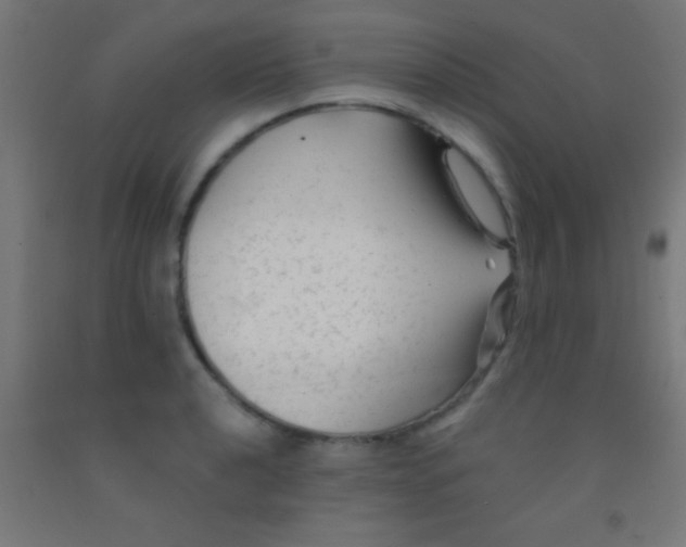 X0000092011040200709271525