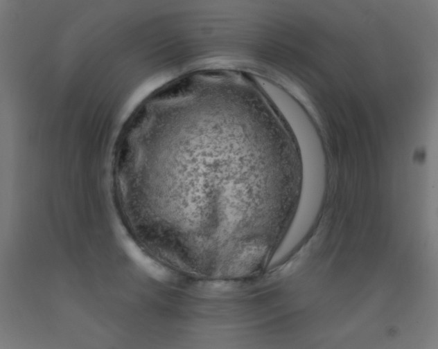 X0000092011042200709271525