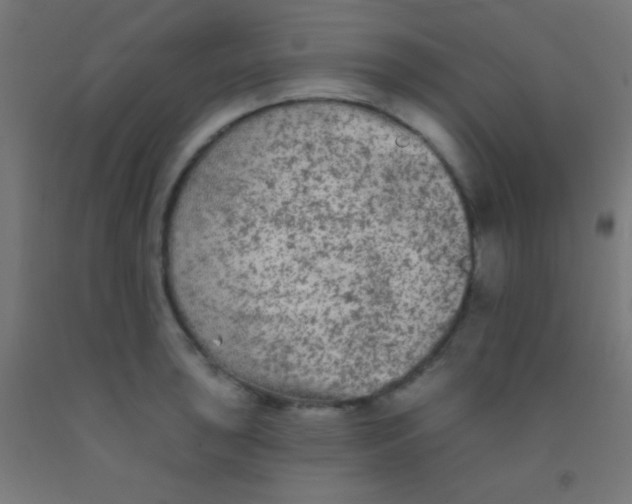 X0000092011043200709271525