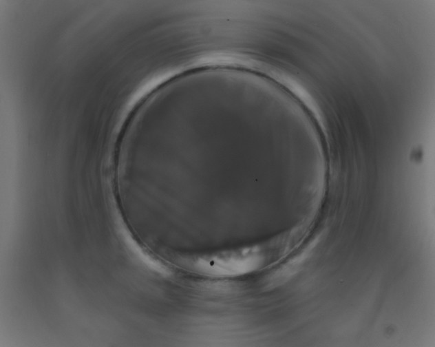 X0000092011045200709271525