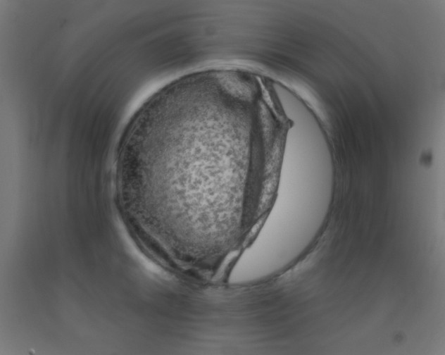 X0000092011046200709271525