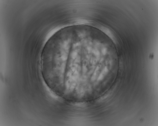 X0000092011047200709271525