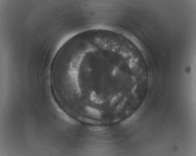 X0000092011048200709271525