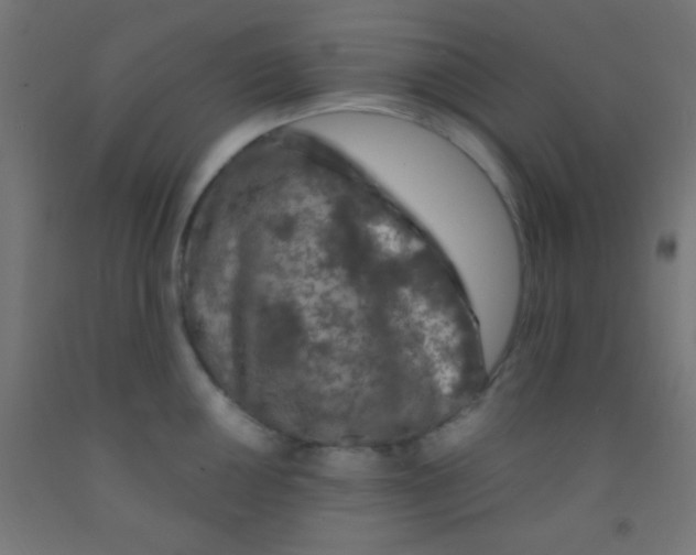 X0000092011050200709271525