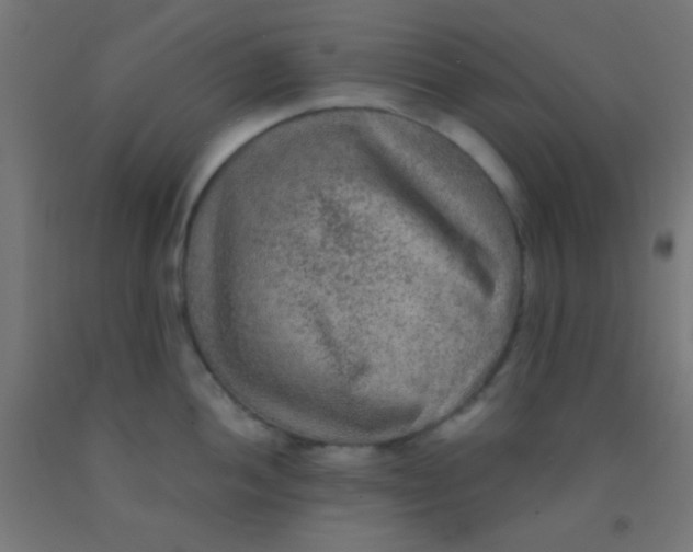 X0000092011052200709271525