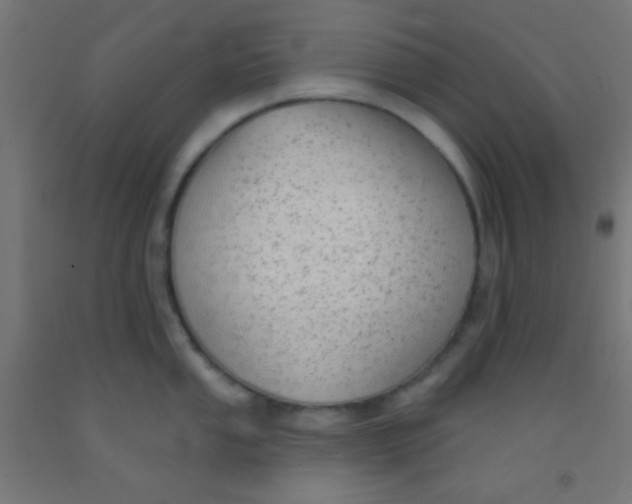 X0000092011053200709271525