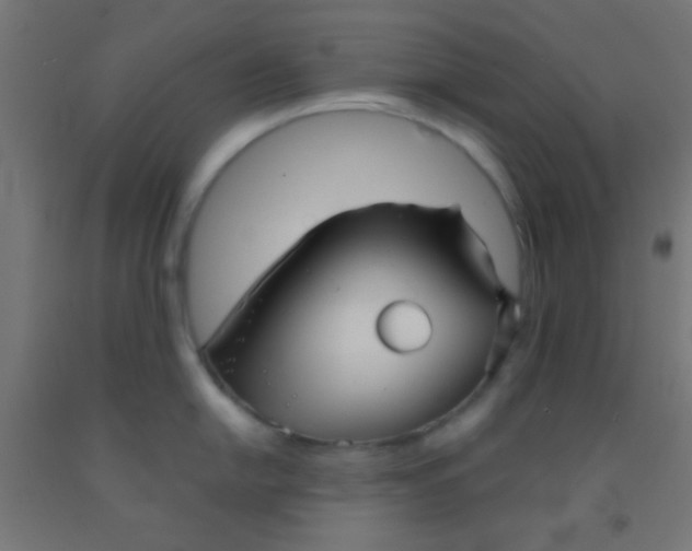 X0000092011054200709271525