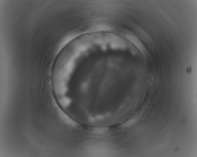 X0000092011055200709271525