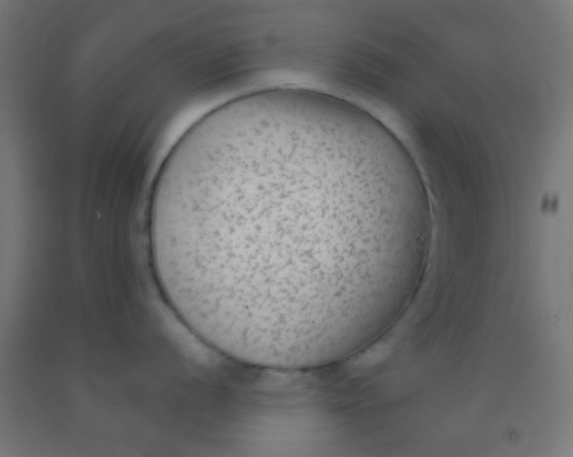 X0000092011056200709271525