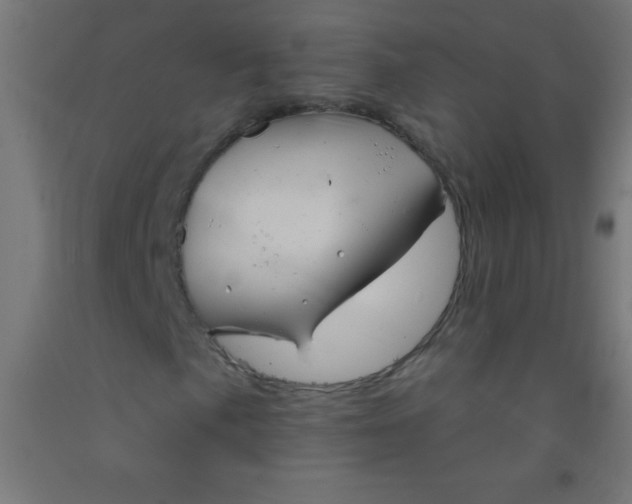 X0000092011057200709271524