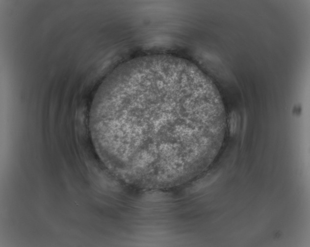 X0000092011059200709271524