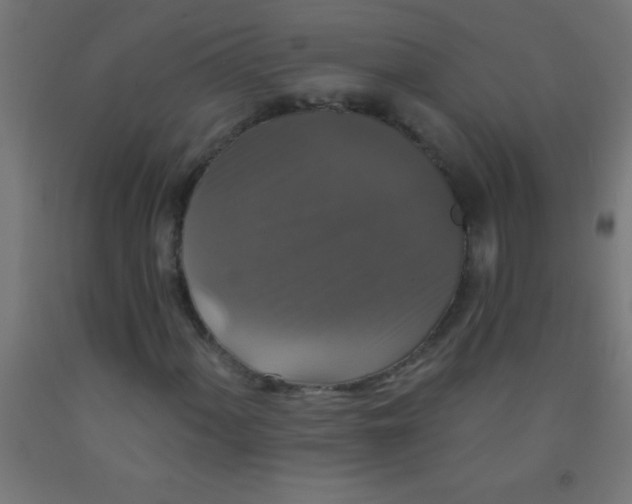 X0000092011060200709271524