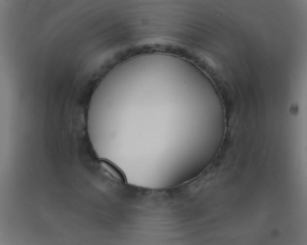 X0000092011062200709271524