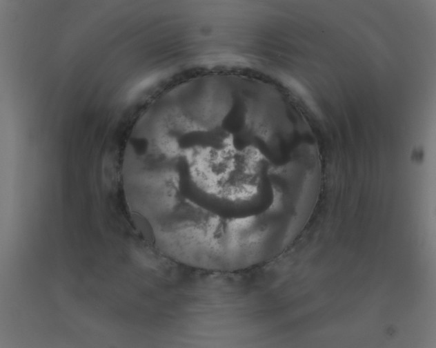 X0000092011063200709271524