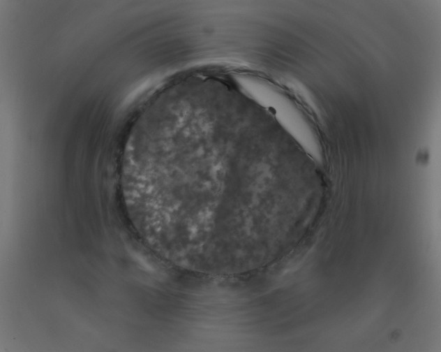 X0000092011064200709271524