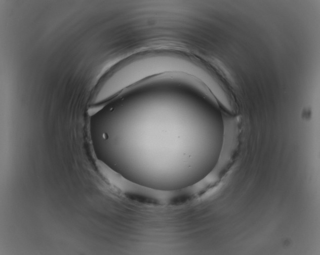 X0000092011065200709271524