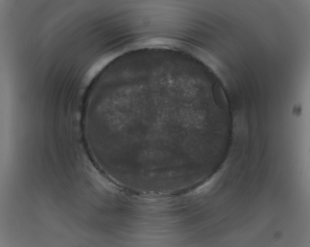 X0000092011066200709271524