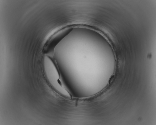 X0000092011069200709271524