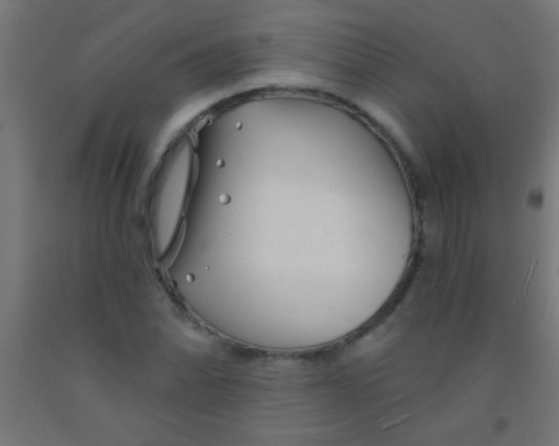 X0000092011070200709271524