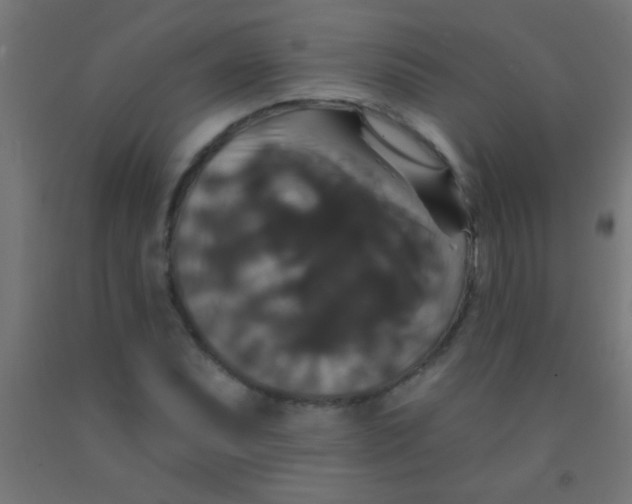 X0000092011071200709271524