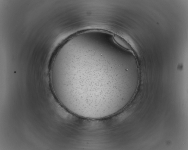 X0000092011072200709271524