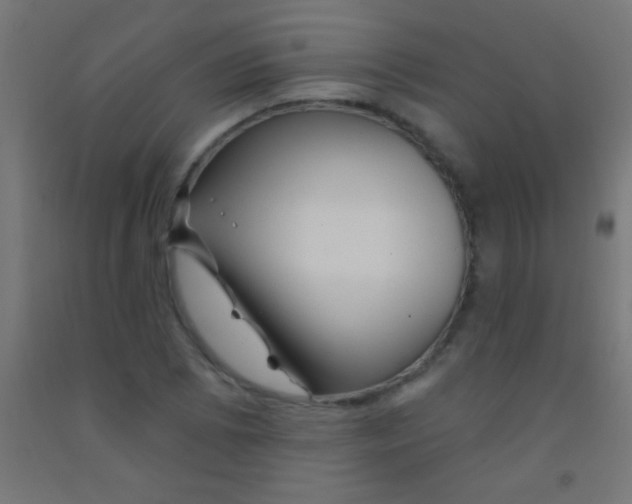 X0000092011073200709271524