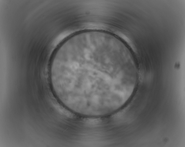 X0000092011074200709271524