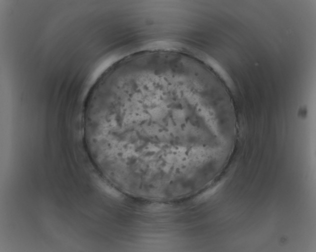 X0000092011075200709271524