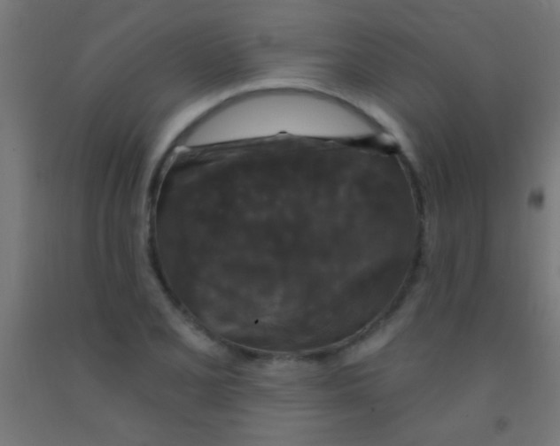 X0000092011077200709271524