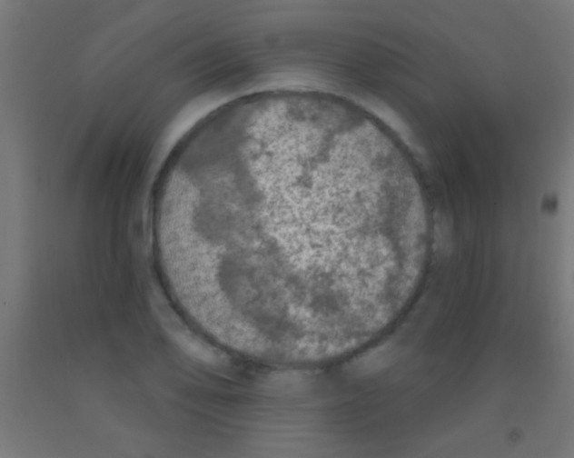 X0000092011078200709271524