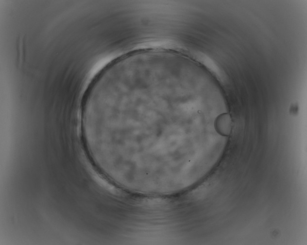 X0000092011079200709271524