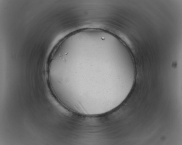 X0000092011080200709271524