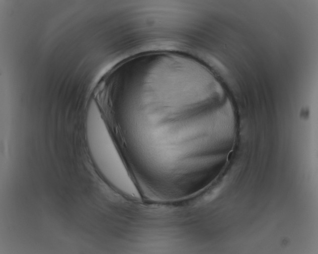 X0000092011081200709271524