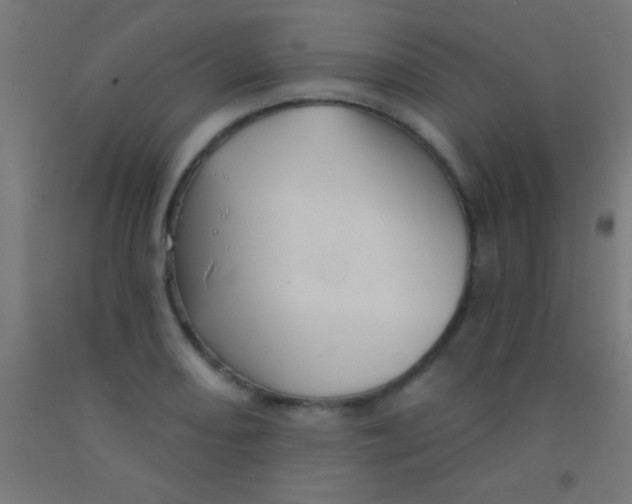 X0000092011082200709271524