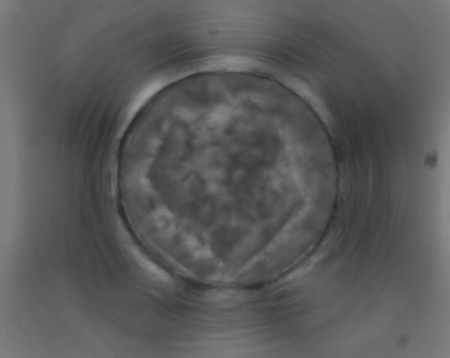 X0000092011083200709271524