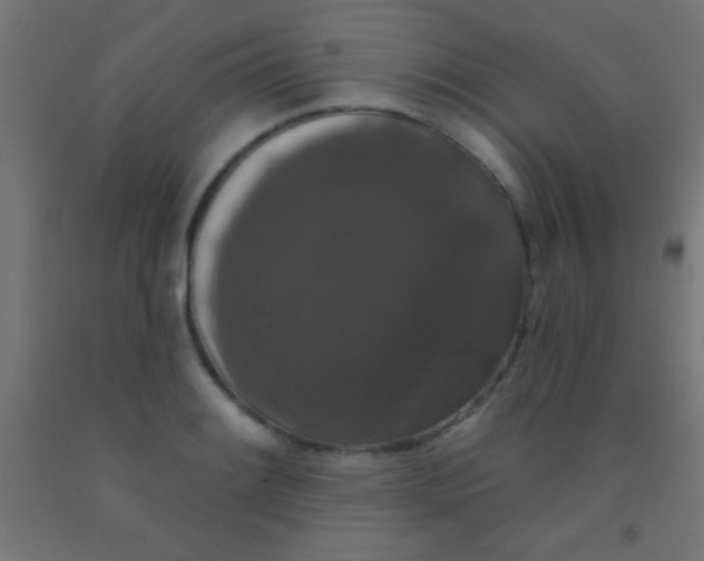 X0000092011084200709271524