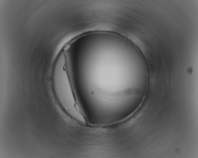 X0000092011085200709271524