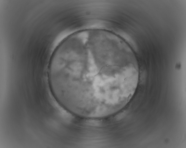 X0000092011086200709271524