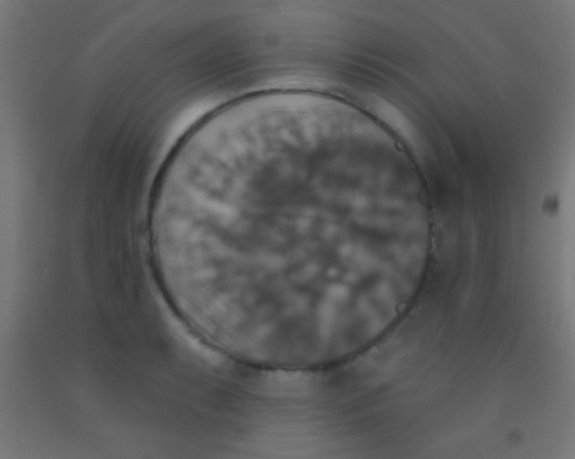 X0000092011087200709271524