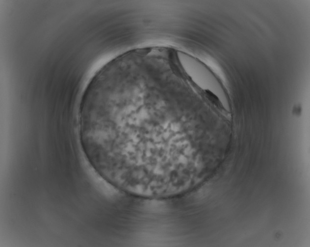 X0000092011088200709271524