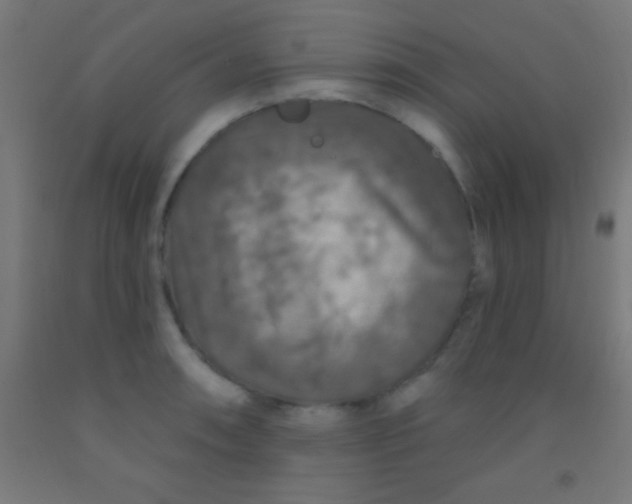 X0000092011090200709271524