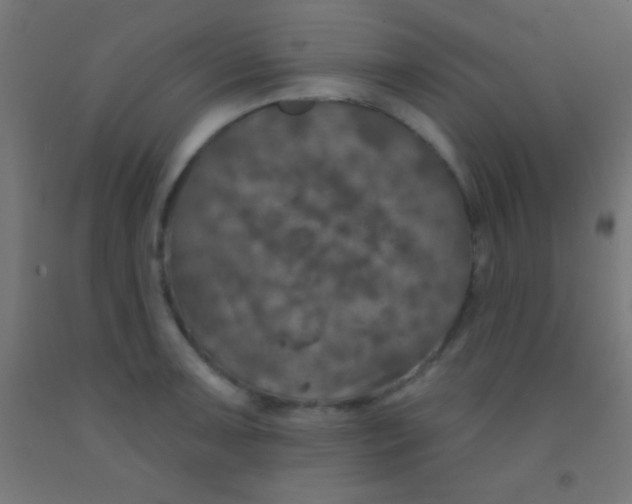 X0000092011091200709271524