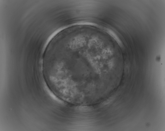 X0000092011092200709271524