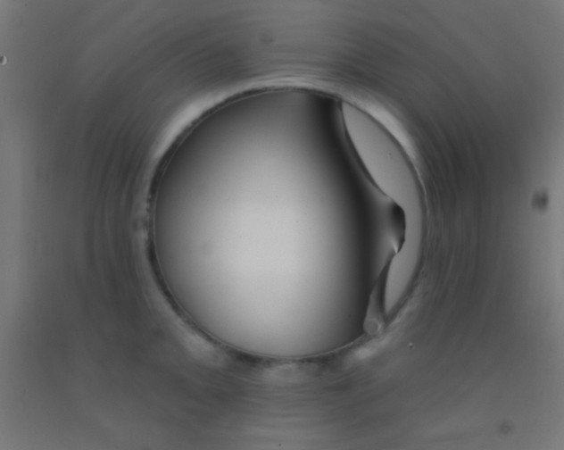 X0000092011093200709271524