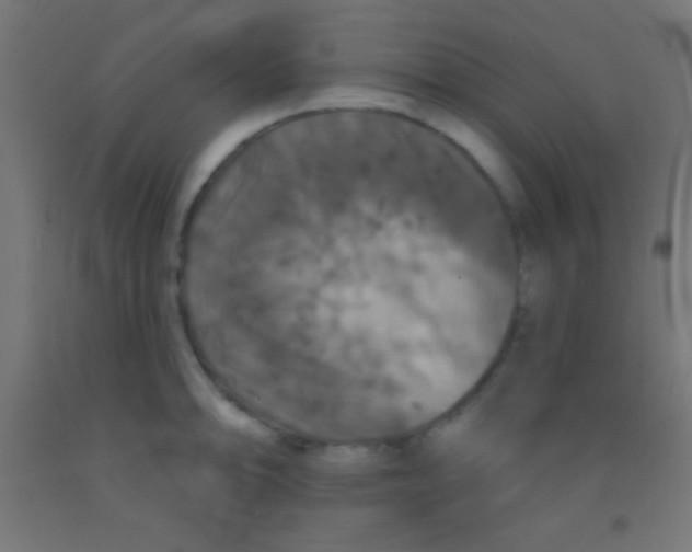 X0000092011094200709271524