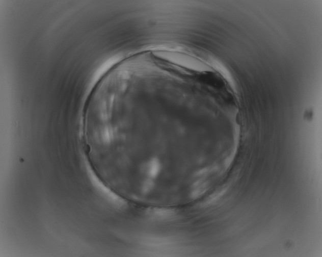 X0000092011095200709271524