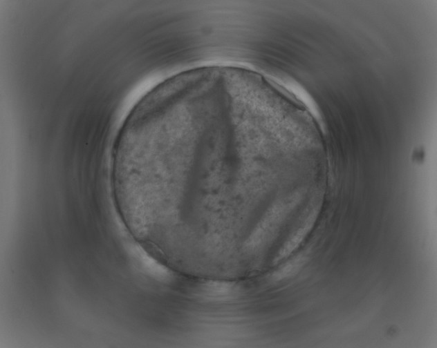 X0000092011096200709271524