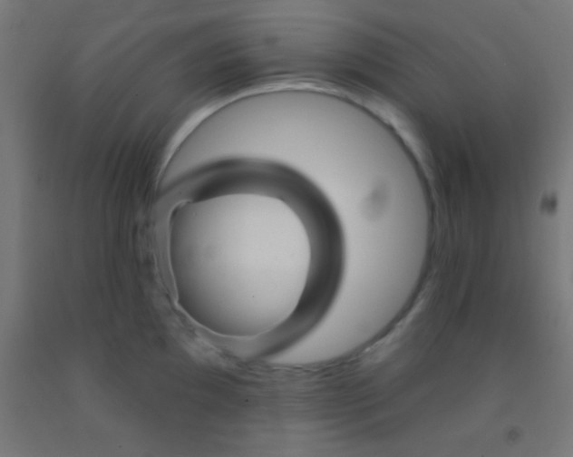 X0000092011097200709271524