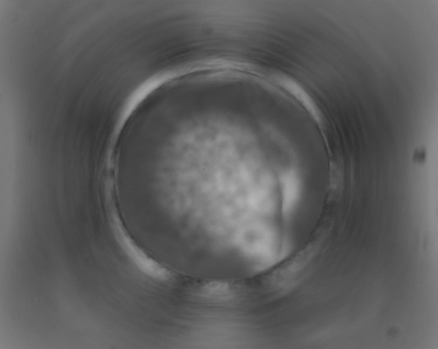 X0000092011098200709271524