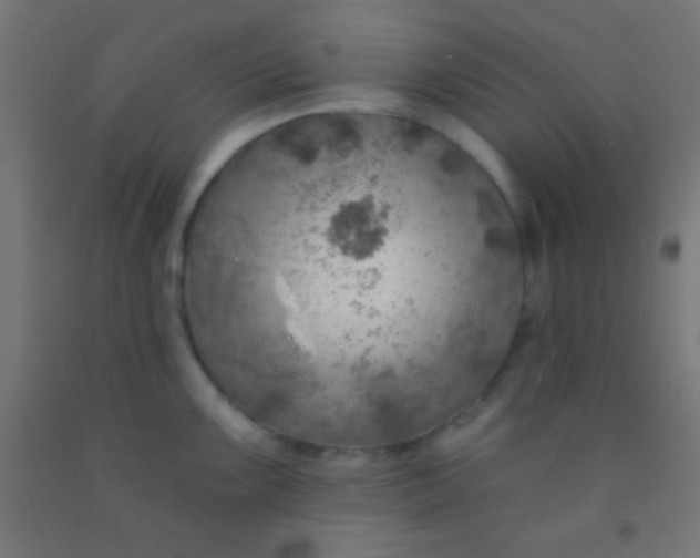 X0000092011099200709271524